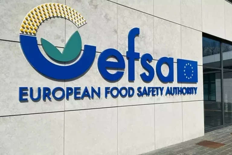 EFSA novel food