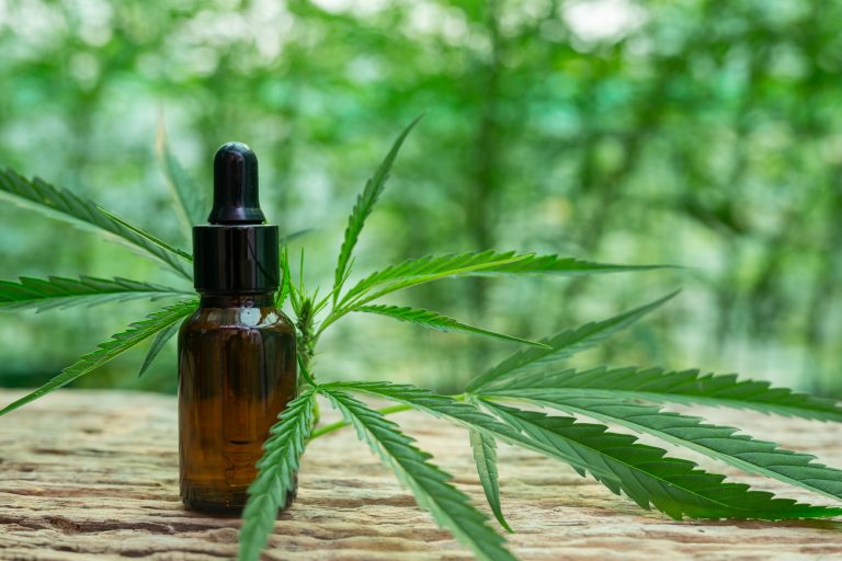 hoja de cannabis con aceite de cbd