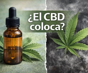 tiene efectos psicoattivos el cbd o coloca?
