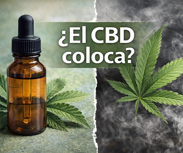 tiene efectos psicoattivos el cbd o coloca?