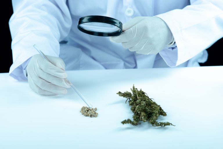cbd en laboratorio