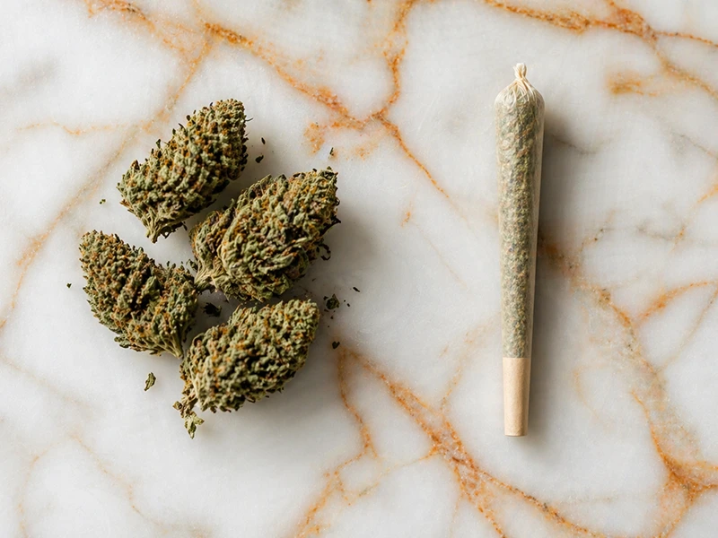 diferencia entre cannabis de flor cbd y pre-rolls de cannabis