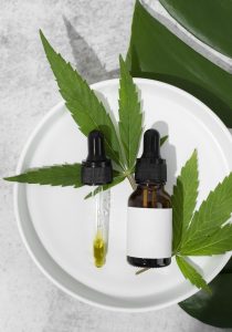 cannabis aceite y cosmética