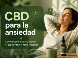 CBD para la ansiedad: Cómo puede ayudar a reducir el estrés y favorecer la relajación
