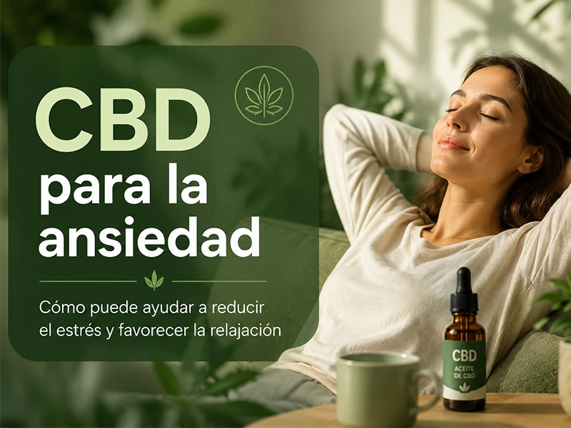 CBD para la ansiedad: Cómo puede ayudar a reducir el estrés y favorecer la relajación