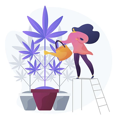 mujer regando planta de cbd para la ansiedad
