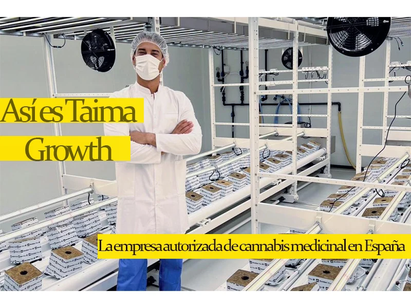 Taima Growth encargada del cannabis medicinal en España
