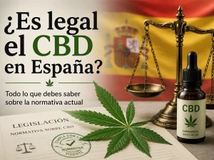 CBD es legal