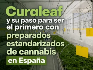 Curaleaf preparados estandarizados de cannabis