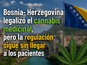 bosnia-herzegovina cbd restricción