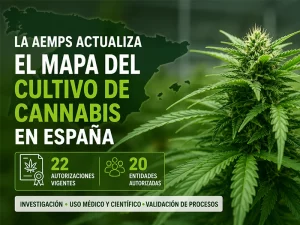 Cultivo de cannabis autorizado en España por la AEMPS
