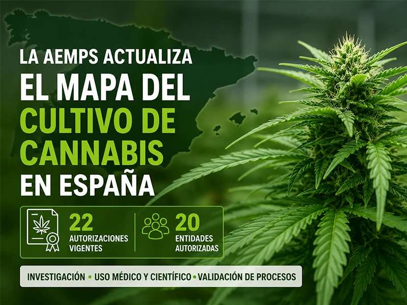 Cultivo de cannabis autorizado en España por la AEMPS