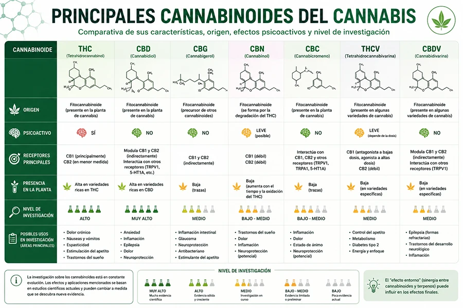 Tabla comparativa de los principales cannabinoides del cannabis: THC, CBD, CBG, CBN, CBC, THCV y CBDV, con sus características y nivel de investigación.
