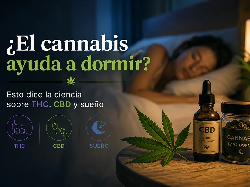 ¿El cannabis ayuda a dormir? Relación entre cannabis, THC, CBD y sueño