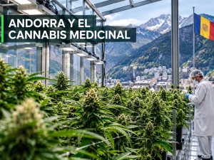 Cultivo de cannabis medicinal en Andorra