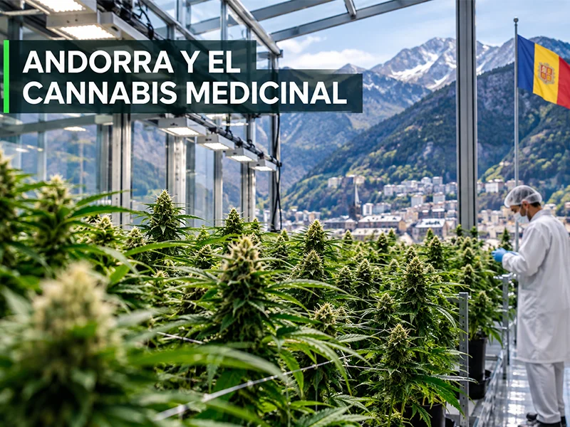 Cultivo de cannabis medicinal en Andorra