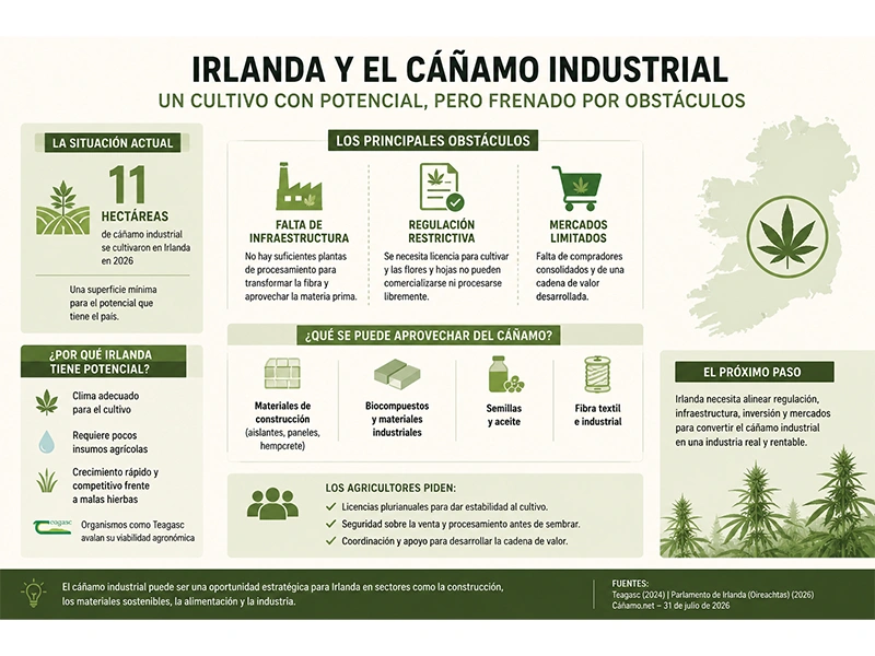 Infografía sobre el cáñamo industrial en Irlanda y sus principales obstáculos