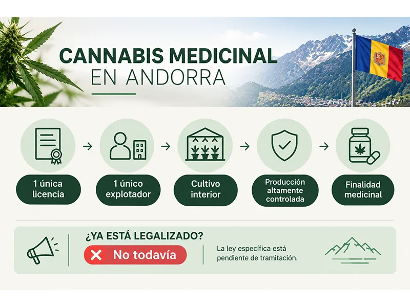 Modelo previsto para el cultivo de cannabis medicinal en Andorra con una única licencia