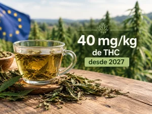 Té de hojas de cáñamo y nuevo límite de THC de 40 mg/kg en la UE