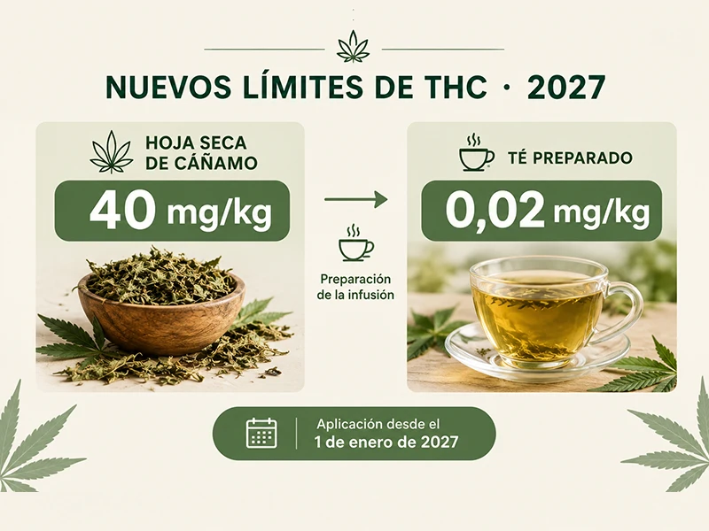 Infografía sobre los límites de THC para hojas de cáñamo y té desde 2027