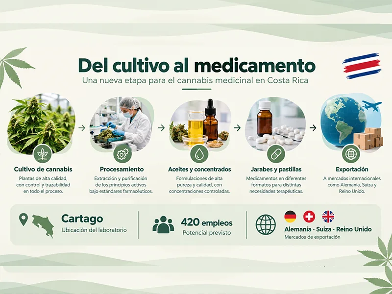 Proceso de producción de medicamentos de cannabis medicinal en Costa Rica