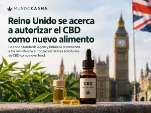 CBD como nuevo alimento en Reino Unido