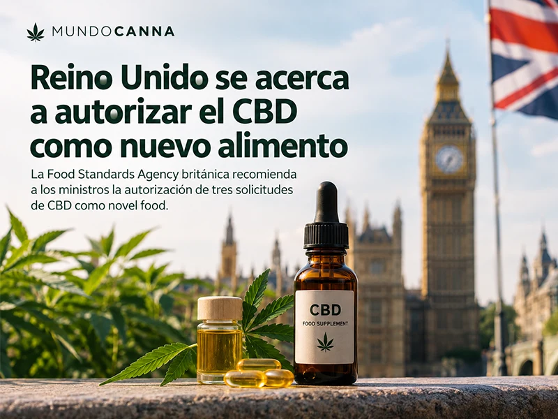 CBD como nuevo alimento en Reino Unido