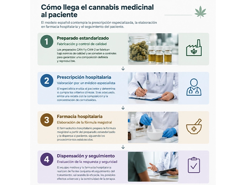 Infografía sobre las etapas del acceso al cannabis medicinal en España, desde el preparado estandarizado hasta el seguimiento hospitalario